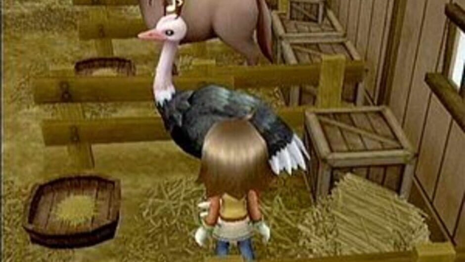 Harvest Moon: Tree of Tranquility screenshot 3
