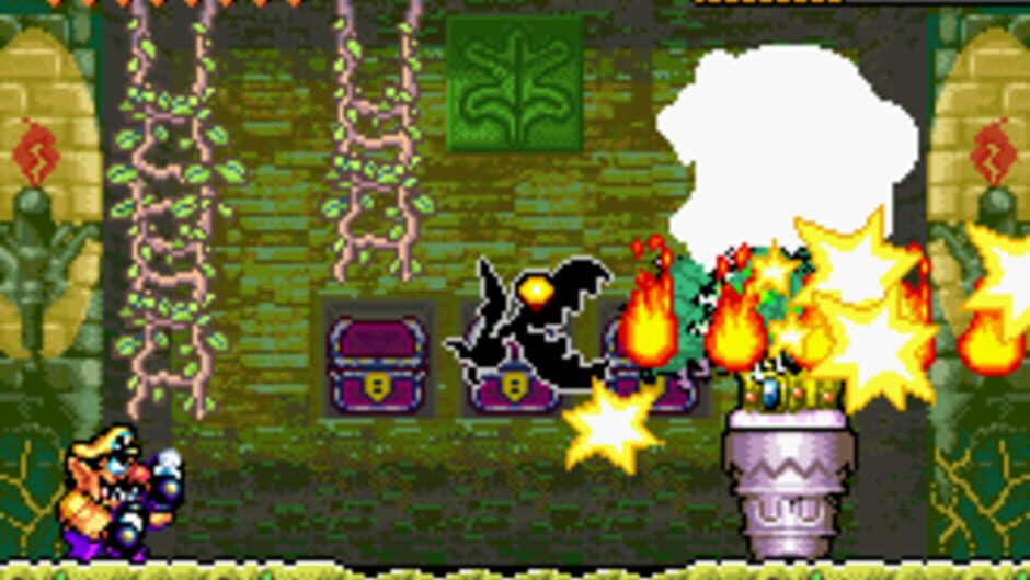 Wario Land 4 screenshot 7