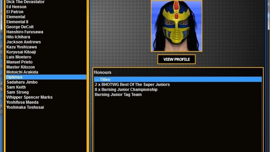 Total Extreme Wrestling 2013 screenshot 5