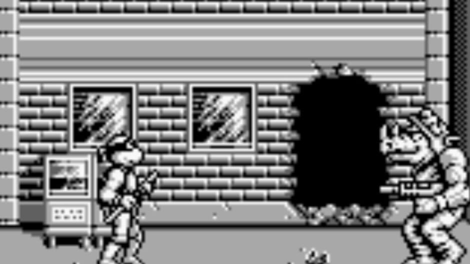 Teenage Mutant Ninja Turtles II: Back from the Sewers screenshot 1