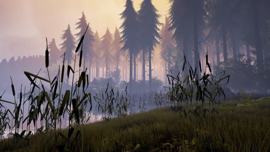 Bigfoot screenshot 2