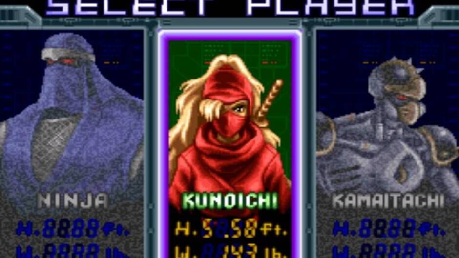 Ninja Warriors screenshot 4