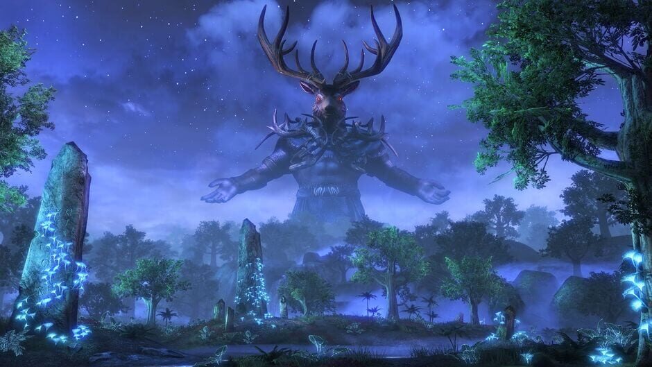 The Elder Scrolls Online screenshot 6