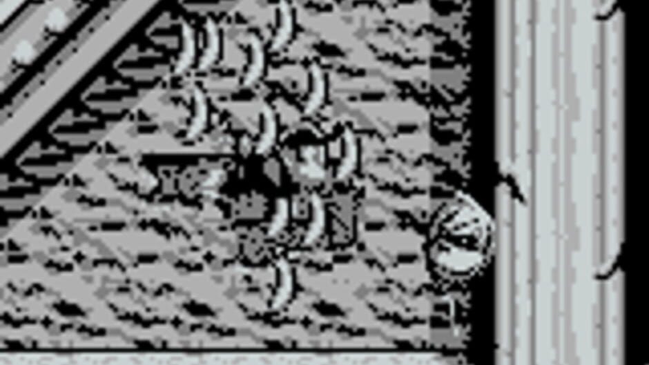 Donkey Kong Land screenshot 1
