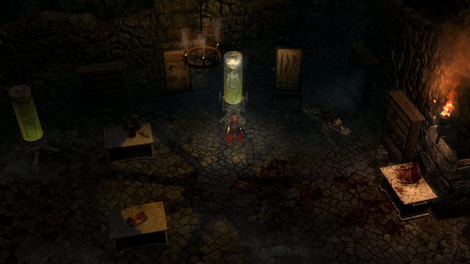 Grim Dawn screenshot 2
