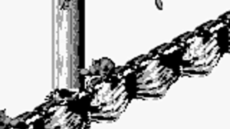 Donkey Kong Land 2 screenshot 5