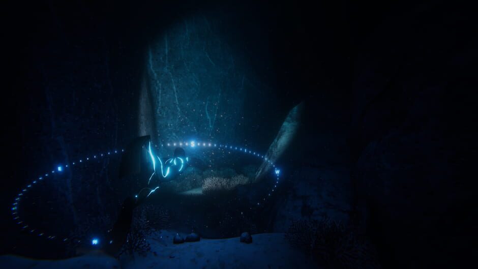 Beyond Blue screenshot 3