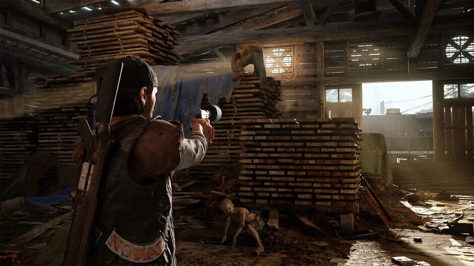 Days Gone screenshot 5