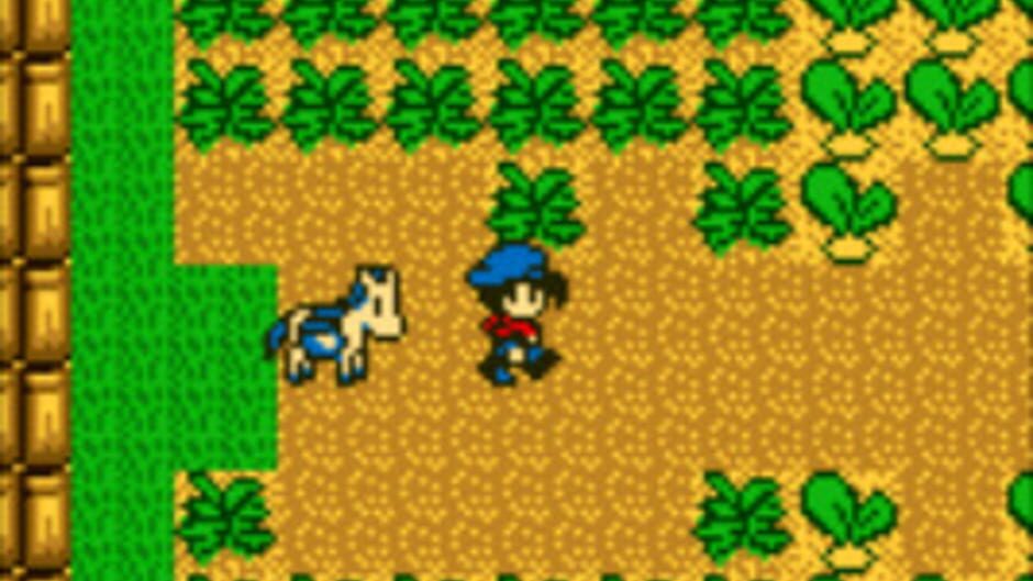 Harvest Moon GB screenshot 5