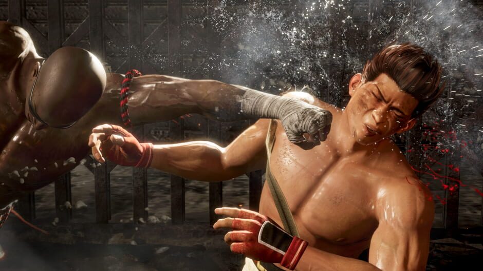 Dead or Alive 6 screenshot 8
