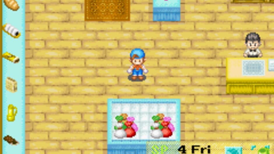 Harvest Moon: Friends of Mineral Town screenshot 5