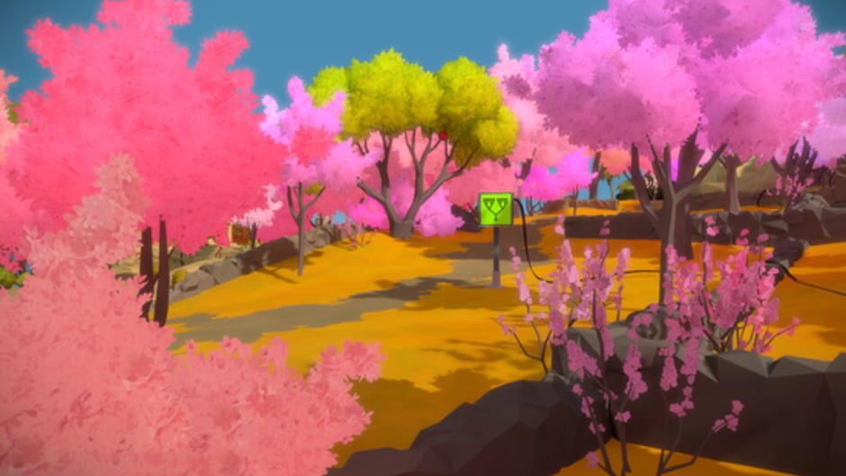 The Witness screenshot 3
