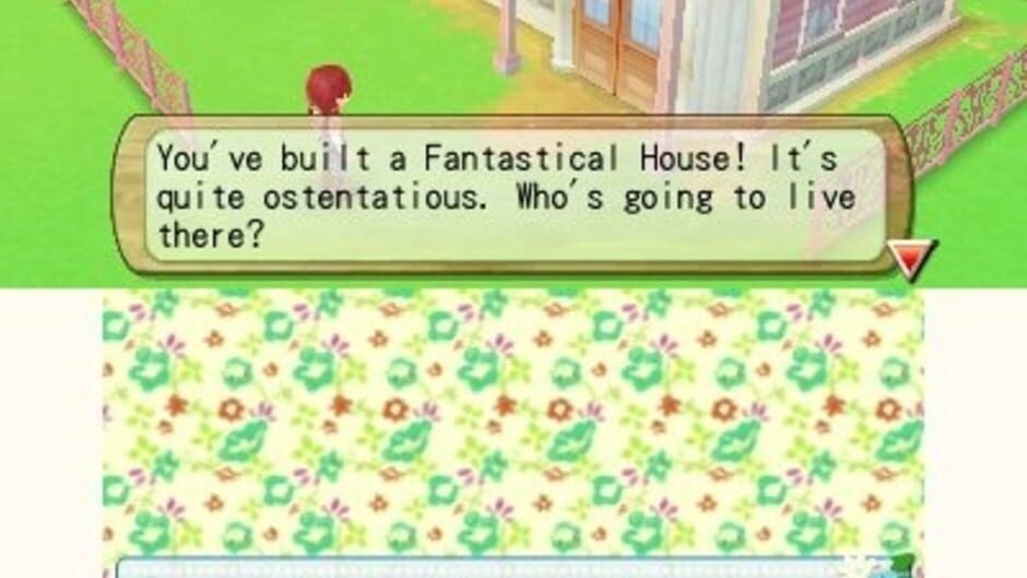 Harvest Moon: A New Beginning screenshot 6