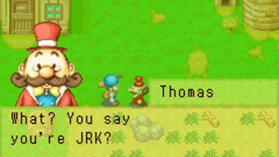 Harvest Moon: Friends of Mineral Town screenshot 4