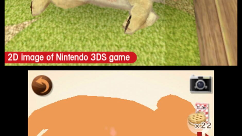 Nintendogs + Cats: French Bulldog & New Friends screenshot 6