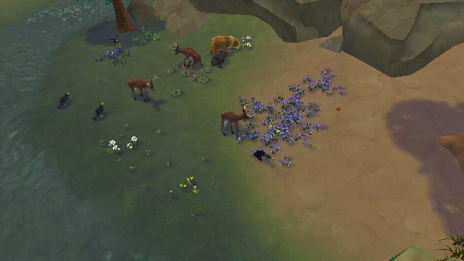 SimAnimals screenshot 7