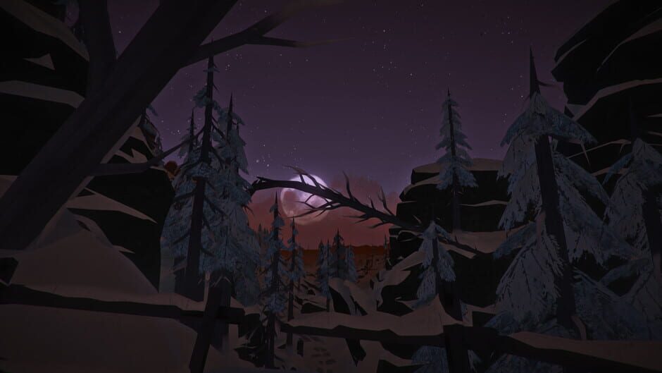 The Long Dark screenshot 6