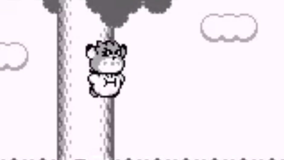 Kirby's Dream Land 2 screenshot 2