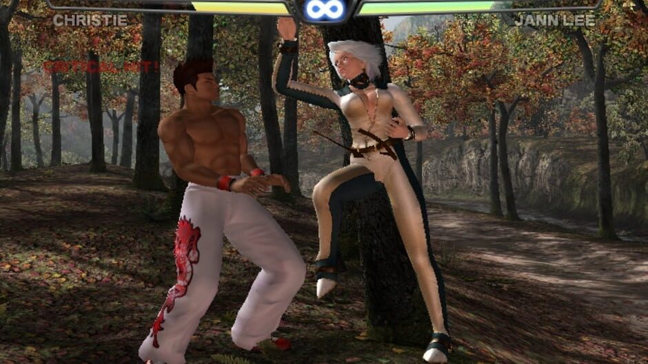 Dead or Alive 3 screenshot 5