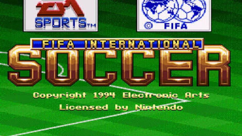 FIFA International Soccer screenshot 3