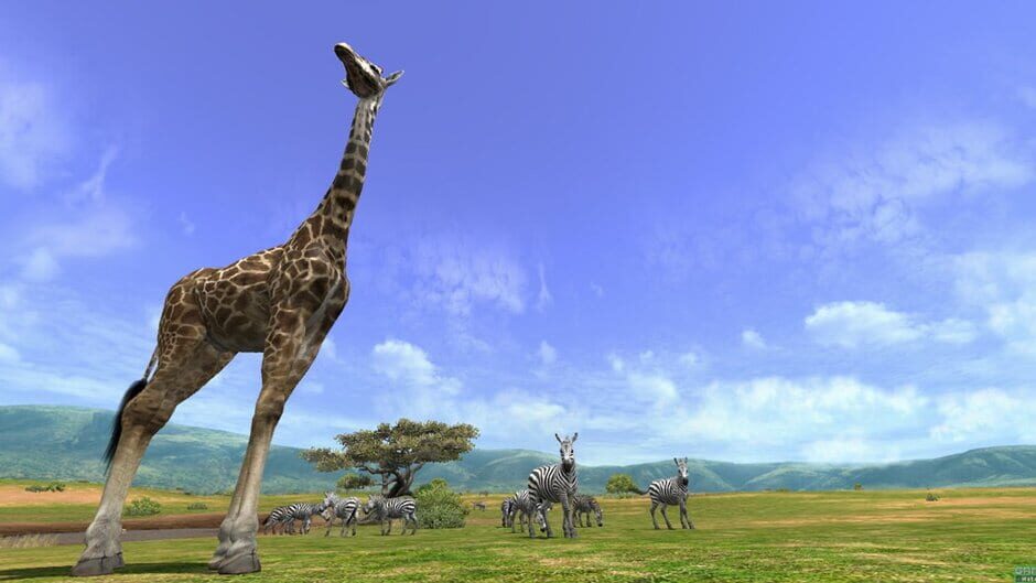 Afrika screenshot 2