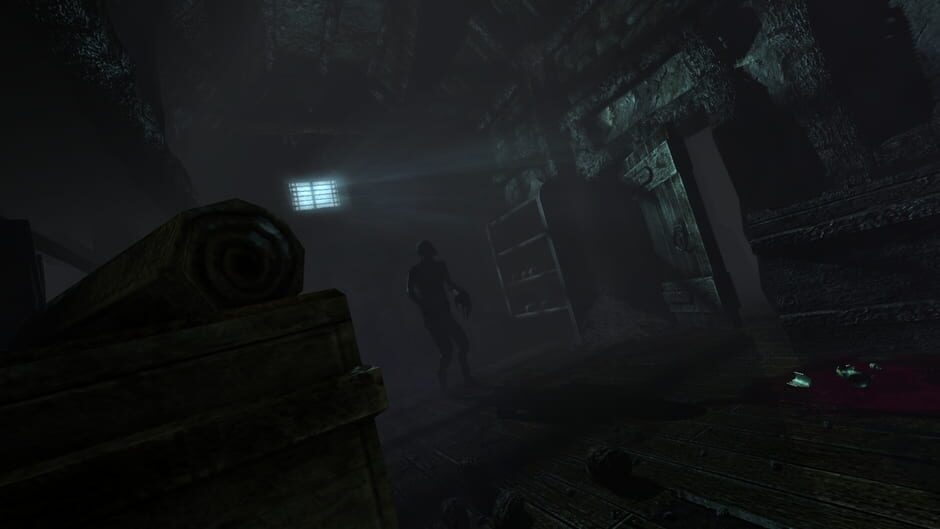 Amnesia: Collection screenshot 3