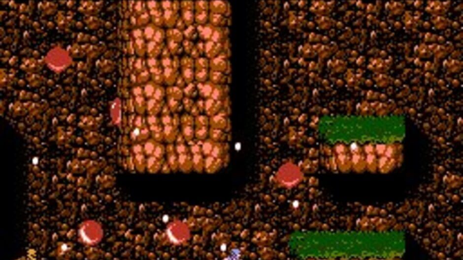 Ninja Gaiden II: The Dark Sword of Chaos screenshot 2