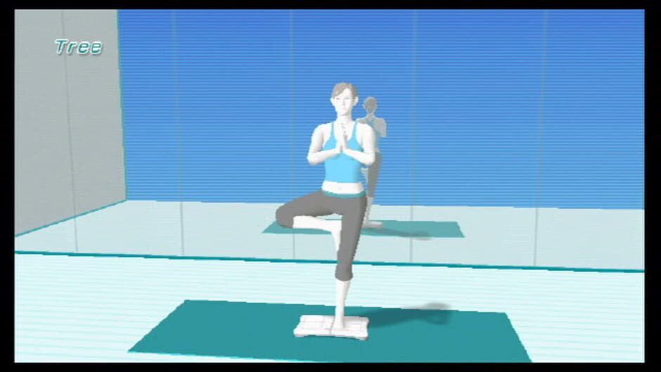 Wii Fit screenshot 6