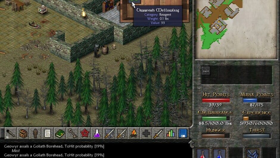 Eschalon: Book II screenshot 2