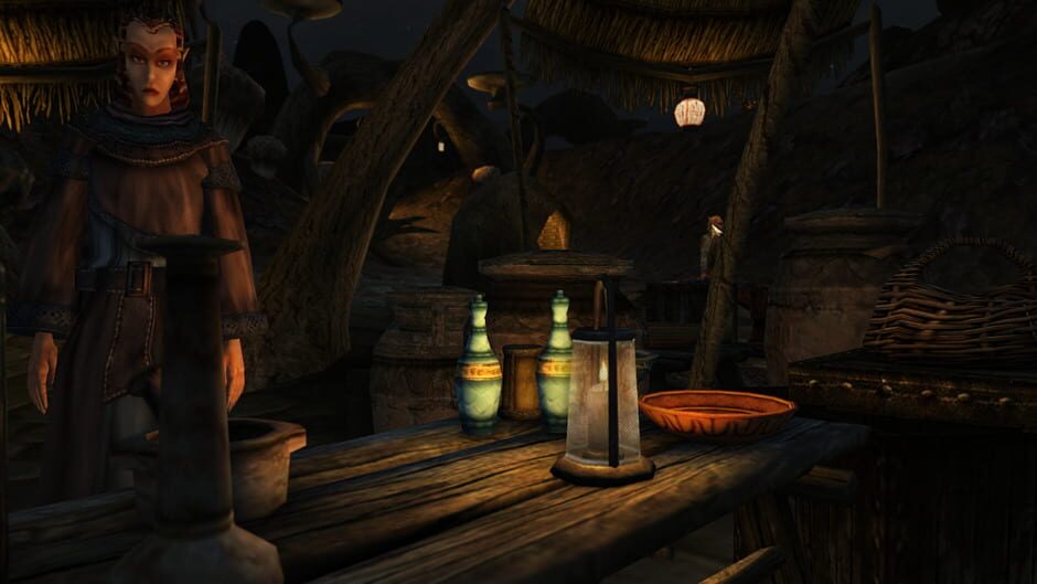 The Elder Scrolls III: Morrowind screenshot 4