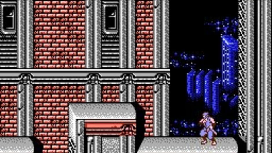 Ninja Gaiden II: The Dark Sword of Chaos screenshot 4