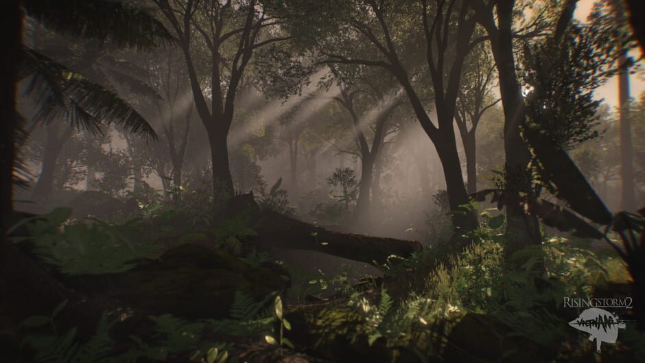 Rising Storm 2: Vietnam screenshot 5