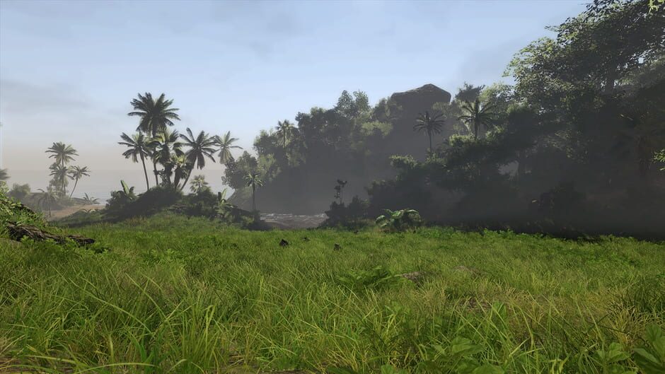 Risen 2: Dark Waters screenshot 4