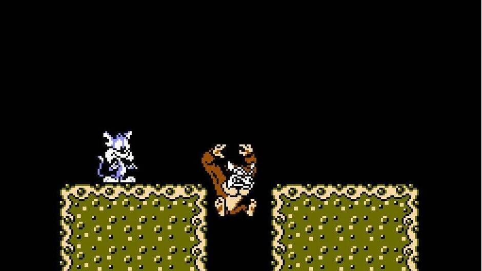 Tiny Toon Adventures screenshot 3