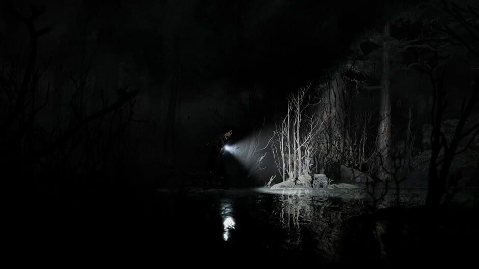 Silver Pines screenshot 7