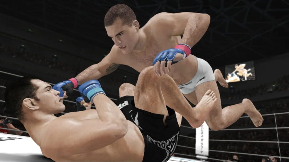 UFC Undisputed 3 screenshot 3