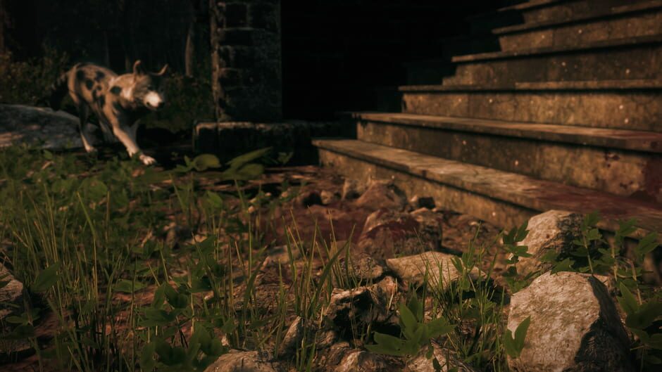 Maid of Sker screenshot 6