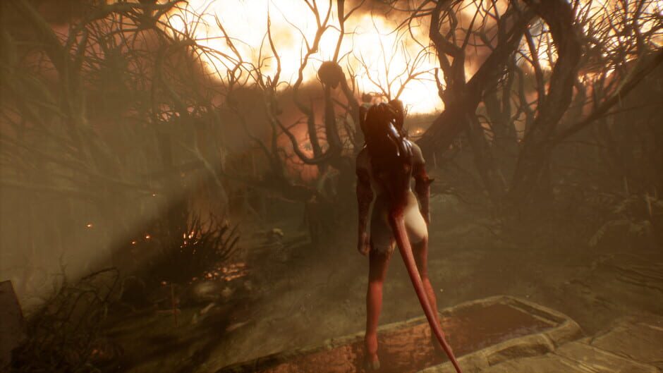Succubus screenshot 5