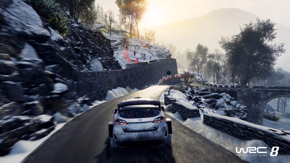 WRC 8 screenshot 3