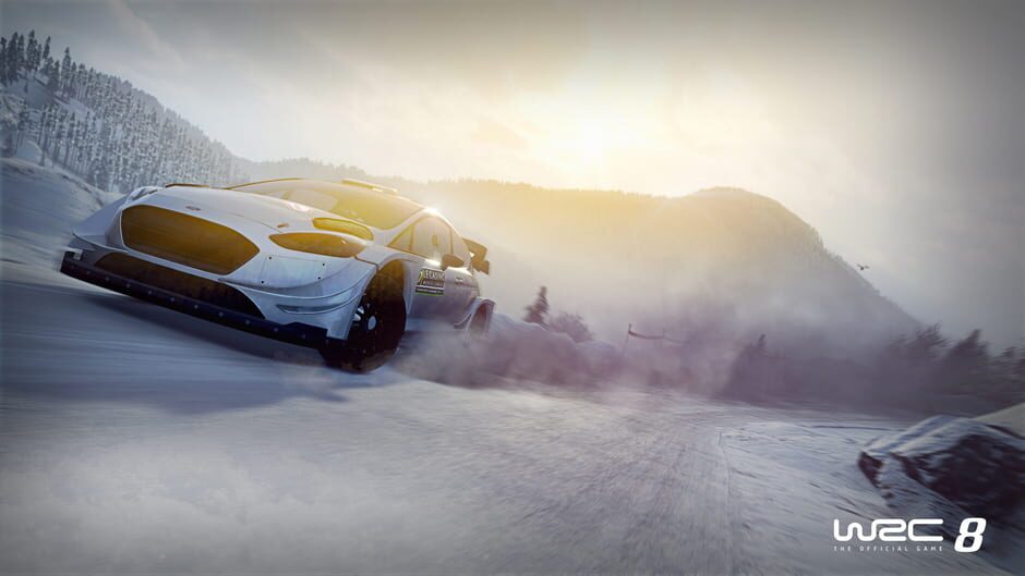WRC 8 screenshot 2