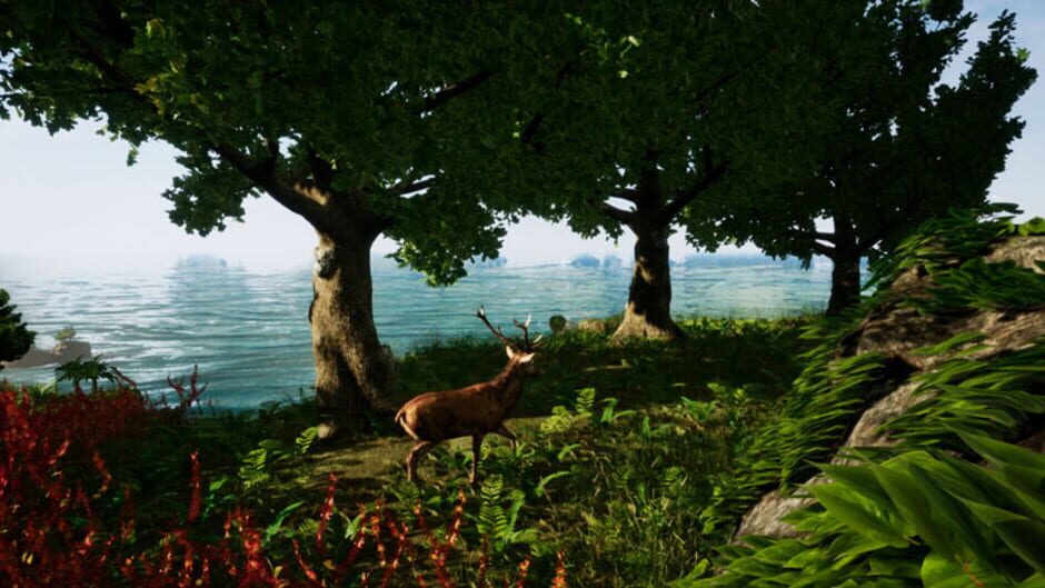 Away: The Survival Series screenshot 3