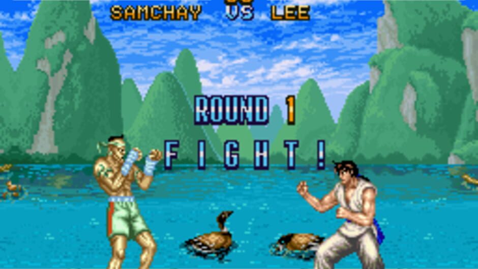 Fighter's History screenshot 3