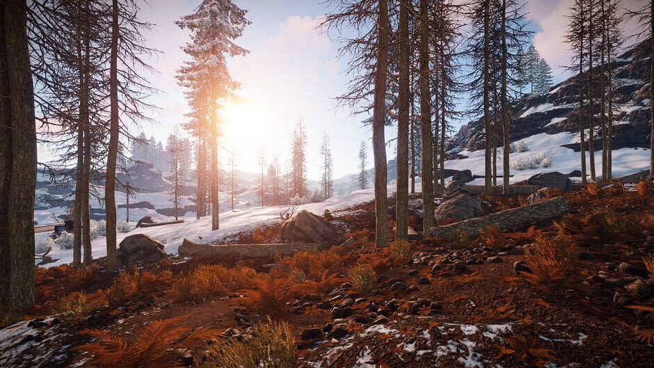 Rust screenshot 5