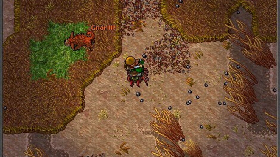Tibia screenshot 8