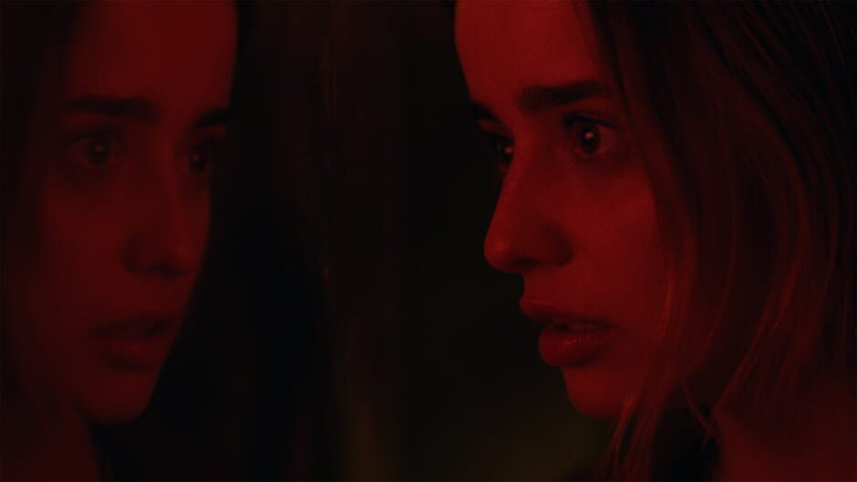 Erica screenshot 1