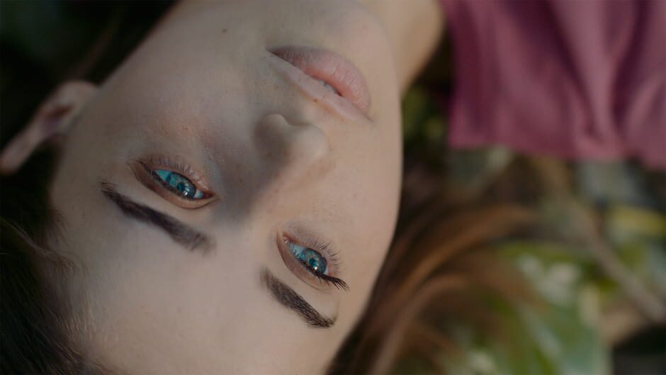 Erica screenshot 5
