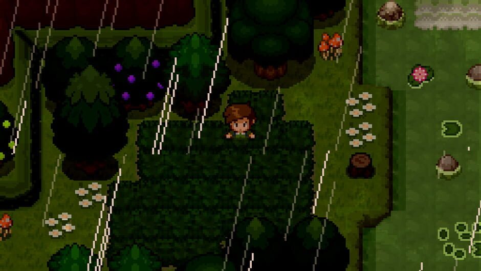 Pokémon Uranium screenshot 2