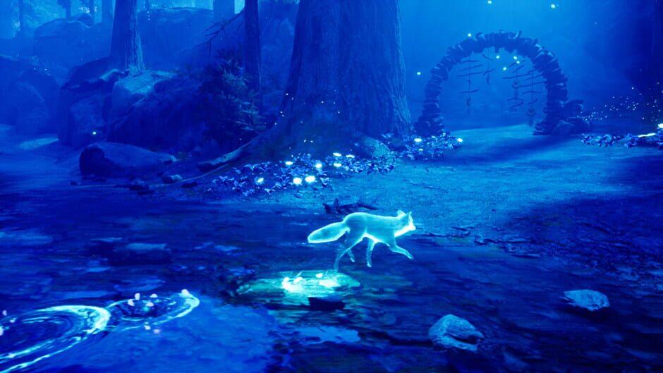 Spirit of the North screenshot 2