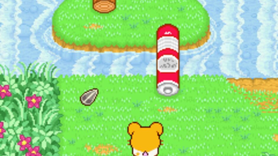 Hamtaro: Ham-Ham Heartbreak screenshot 7
