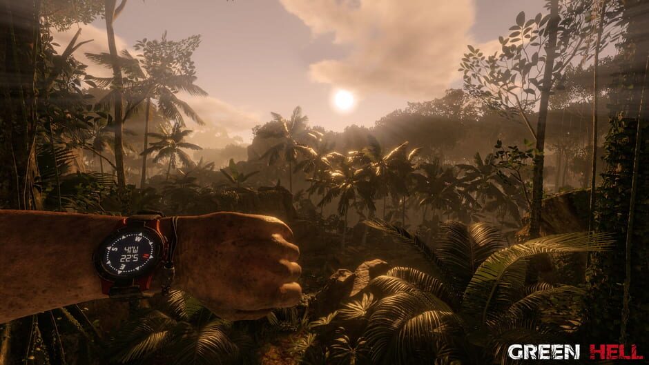 Green Hell screenshot 5